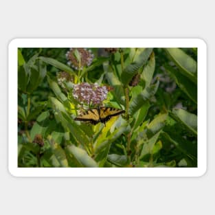 Butterfly and Moth with Pink Flowers and Greenery Sticker